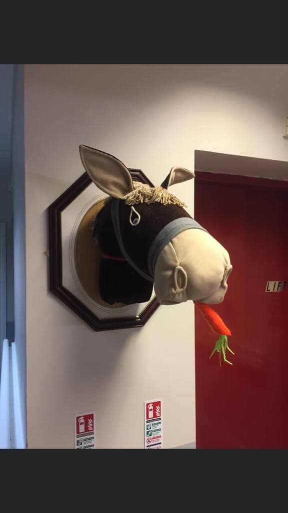 Good companions silloth